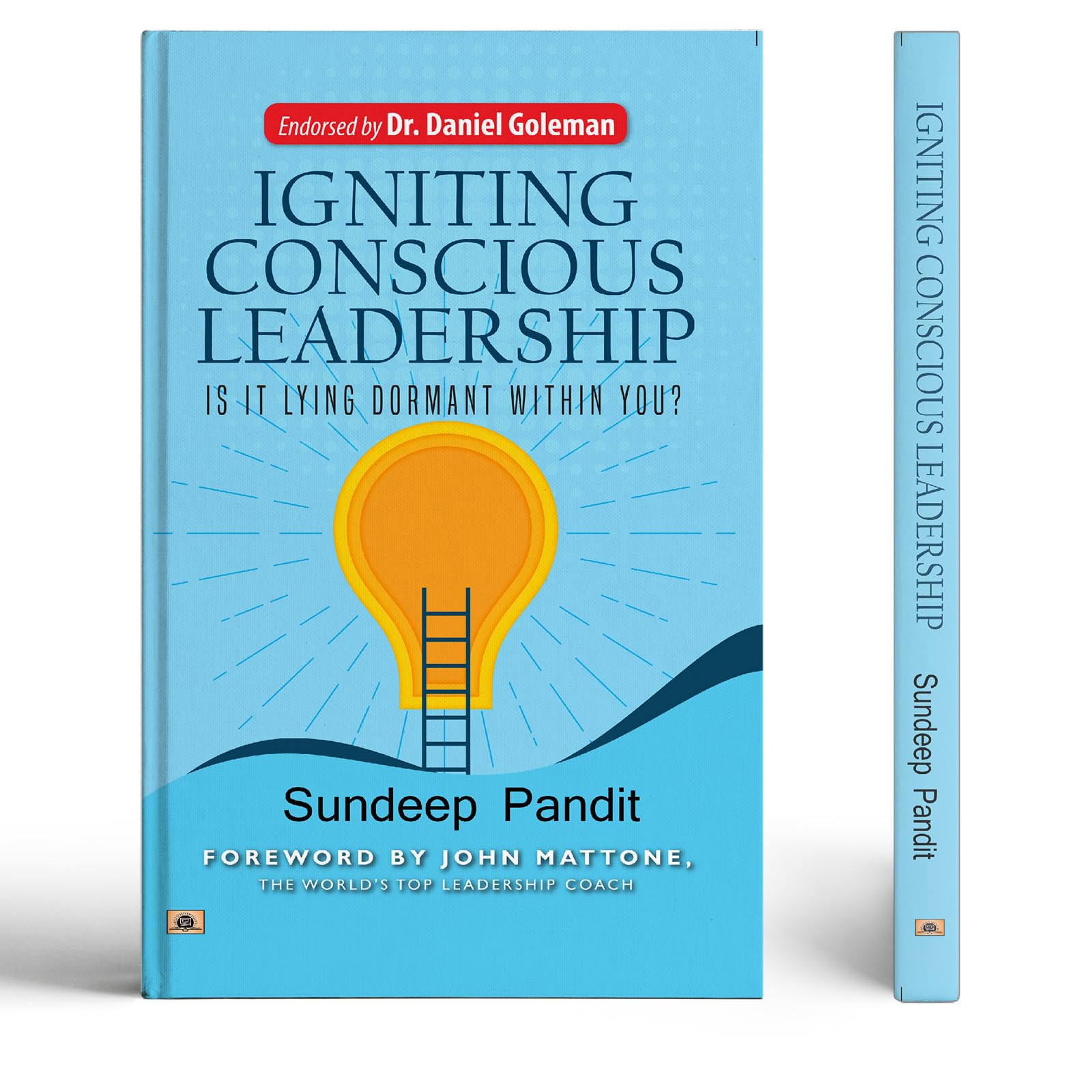 Igniting Conscious Leadership (Is it Lying Dormant Within You?)