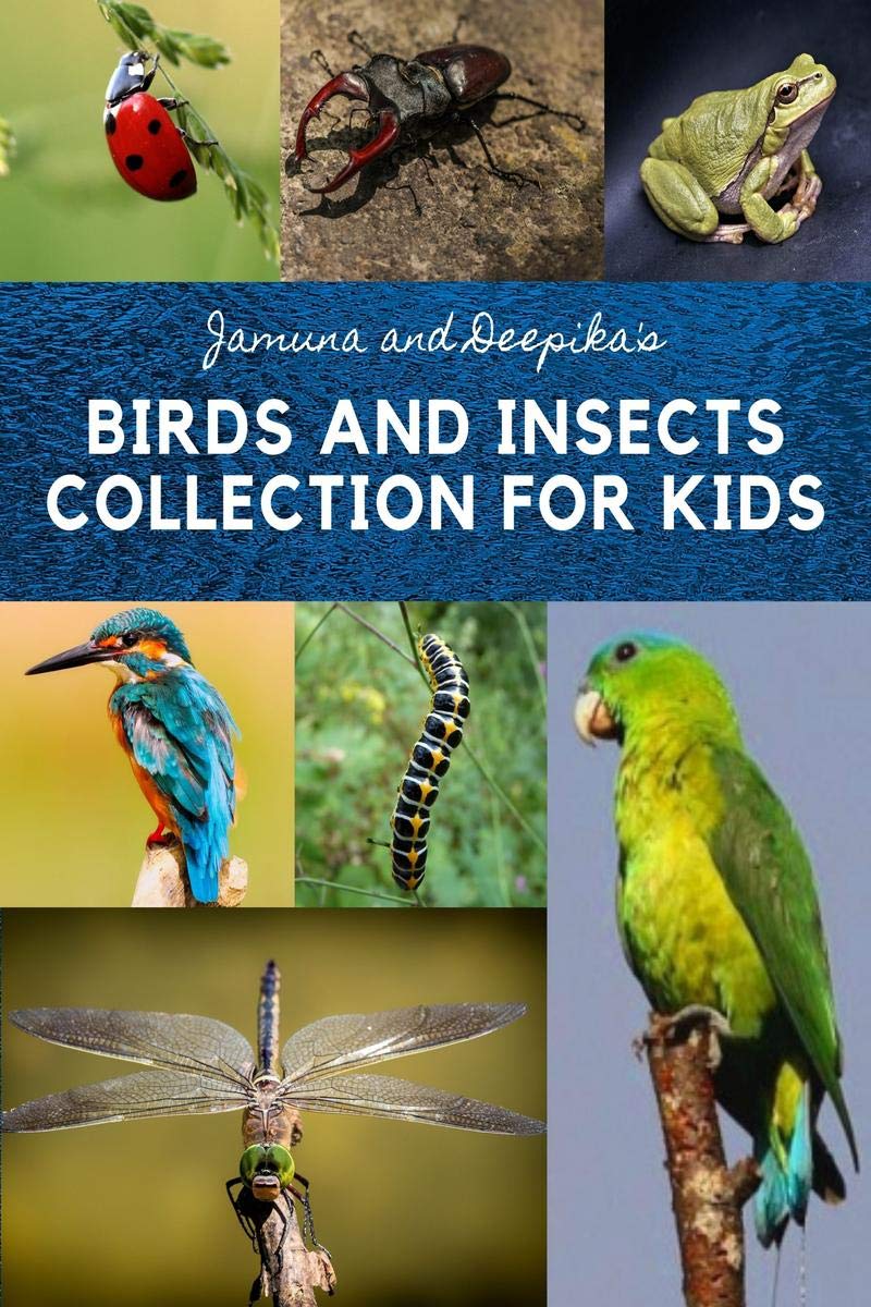 Birds and Insects collection for Kids