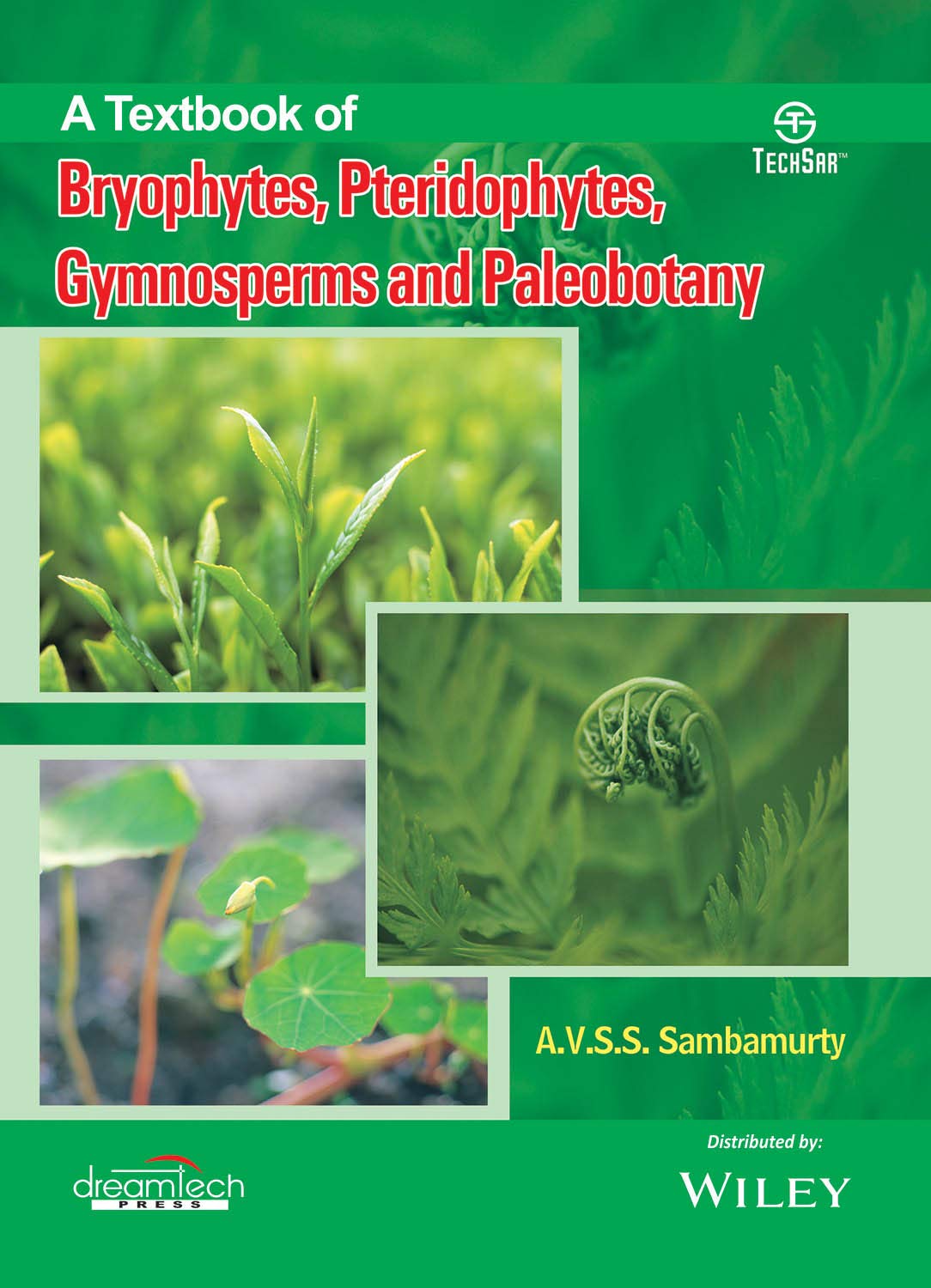 A Textbook Of Bryophytes, Pteridophytes, Gymnosperms And Paleobotany | E