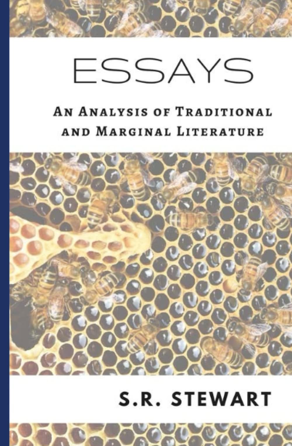 Essays: An Analysis of Traditional and Marginal Literature