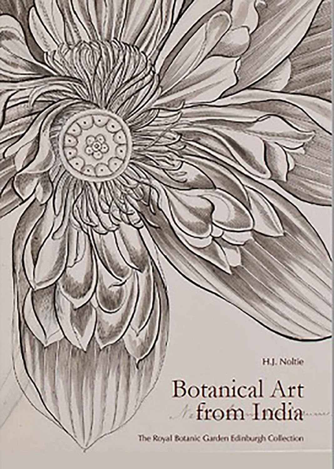 Botanical Art from India: The Royal Botanic Garden Edinburgh Collection: Drawings from the Collection of the Royal Botanic Garde
