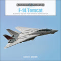 F14 Tomcat: Grummans Top Gun from Vietnam to the Persian Gulf (Legends of Warfare: Aviation, 11)
