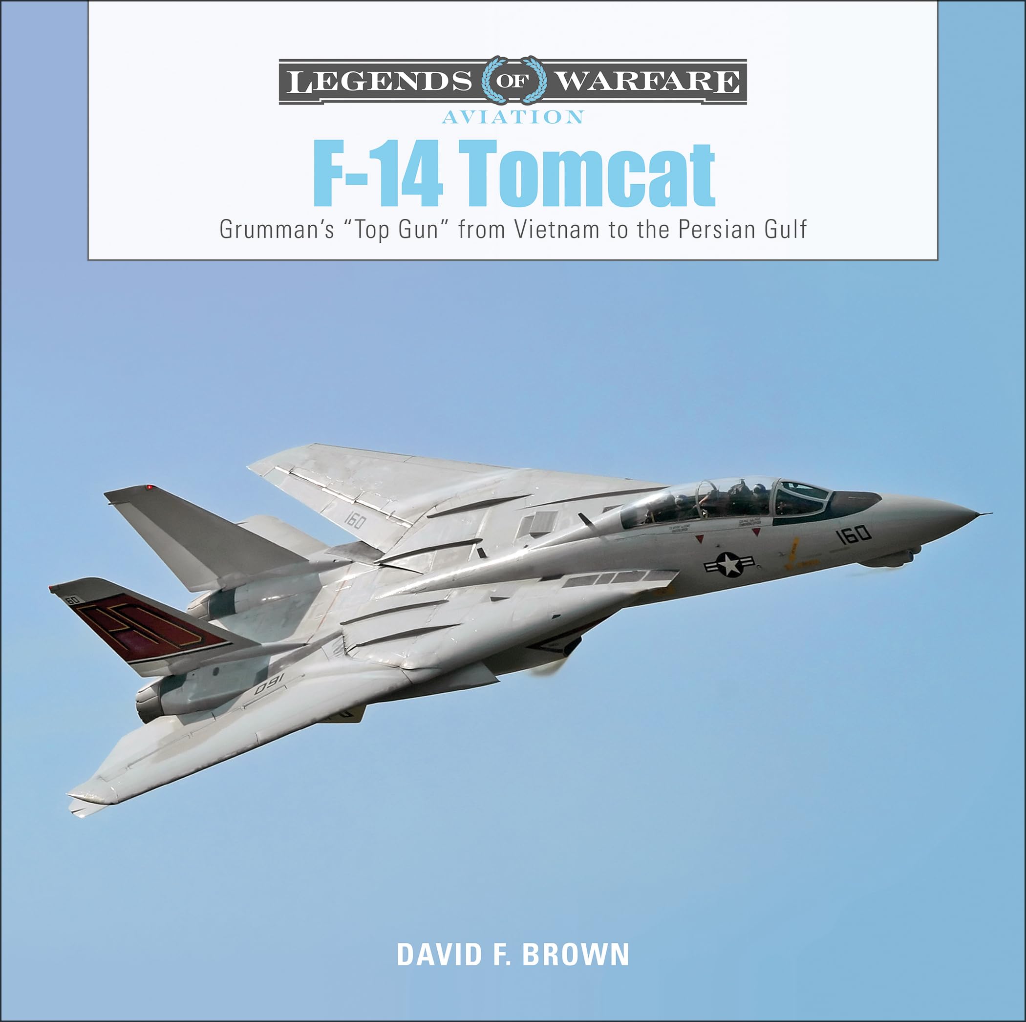 F14 Tomcat: Grummans Top Gun from Vietnam to the Persian Gulf (Legends of Warfare: Aviation, 11)