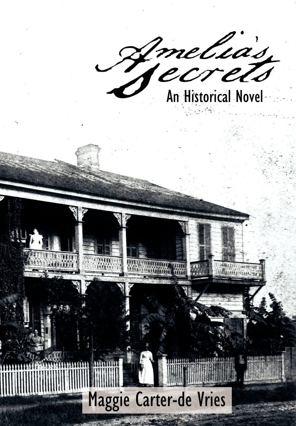 Amelias Secrets: An Historical Novel