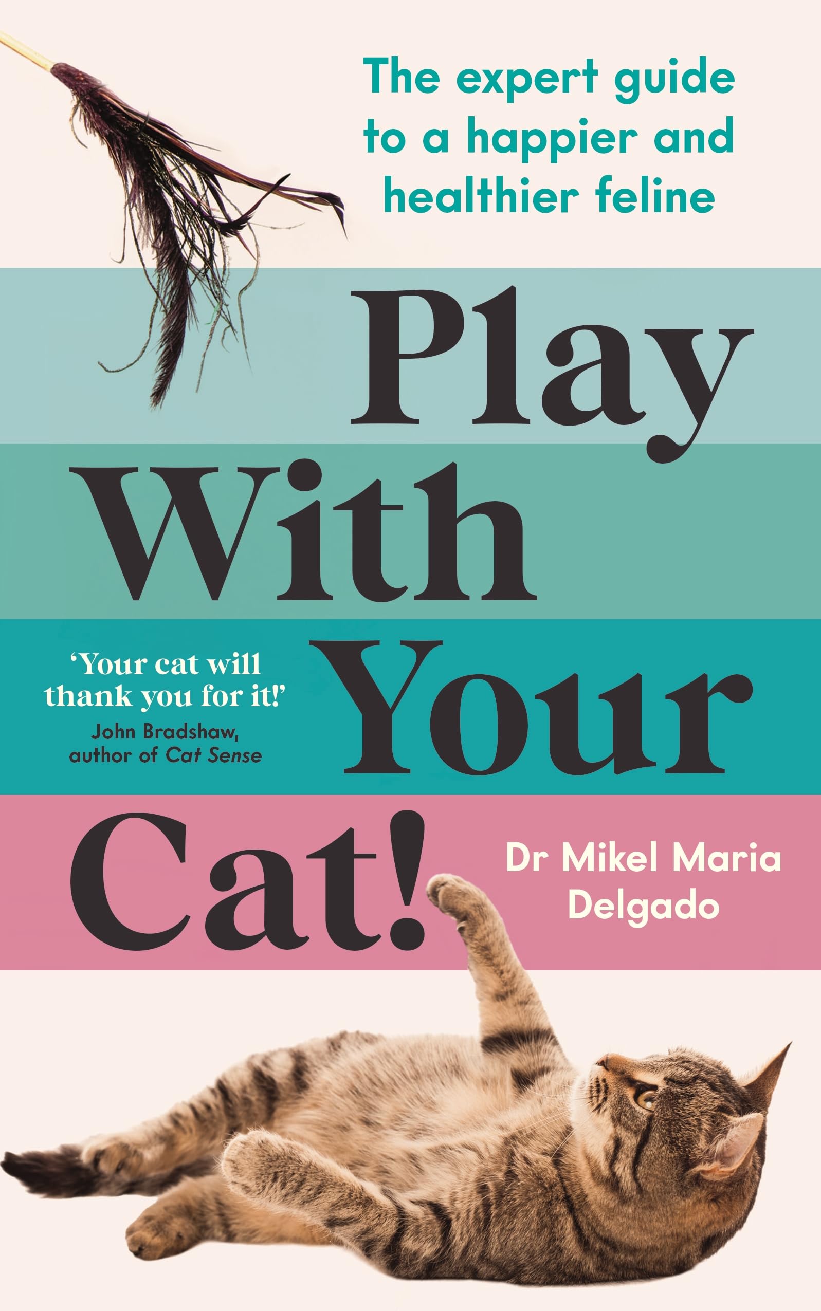 Souvenir Press Play With Your Cat! The expert guide to a happier and healthier feline.