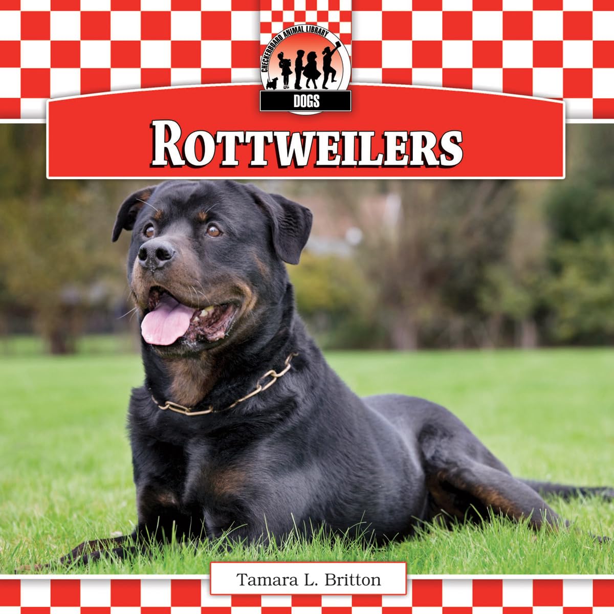 Rottweilers (Dogs, 10)