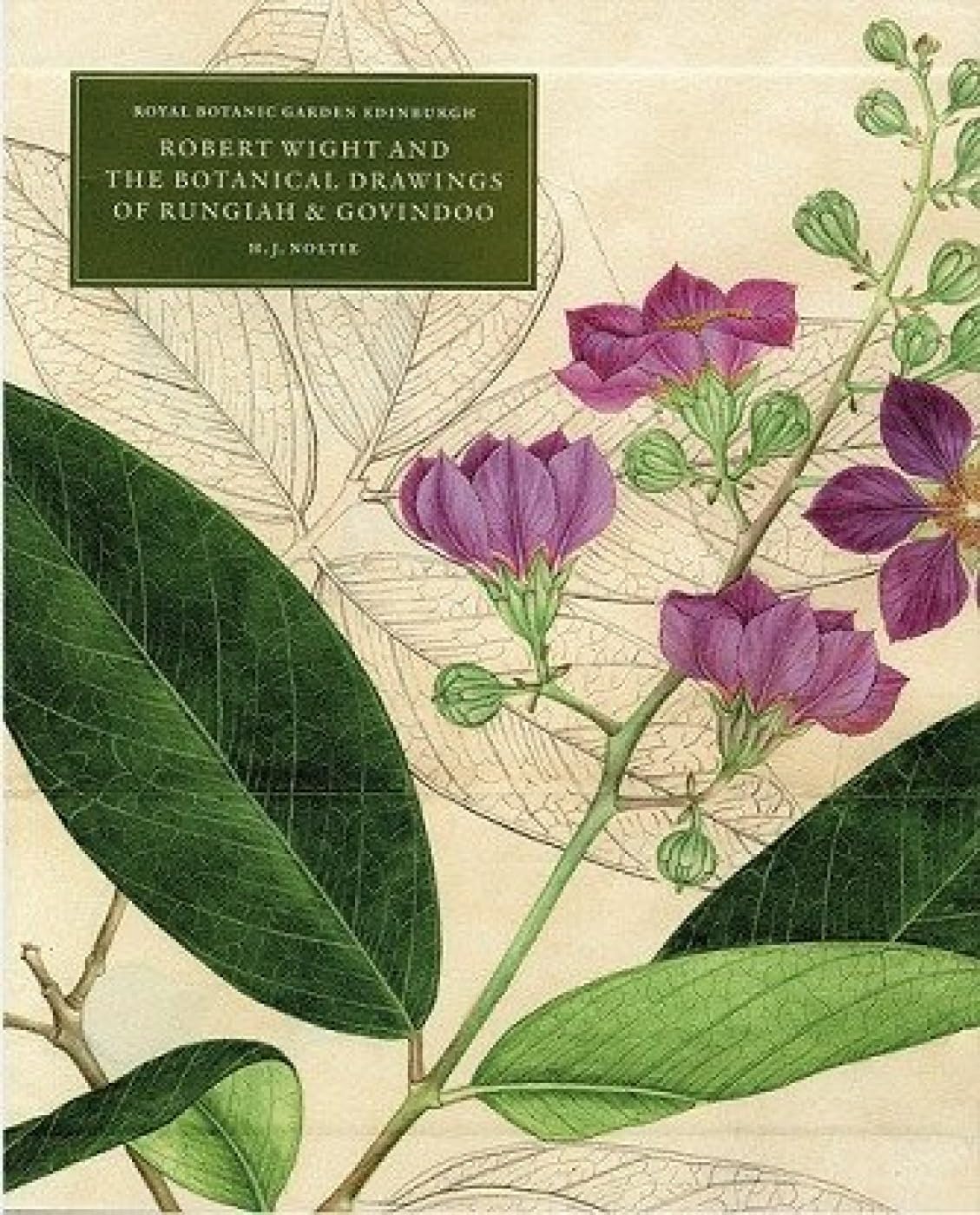 Robert Wight and the Botanical Drawings of Rungiah and Govindoo