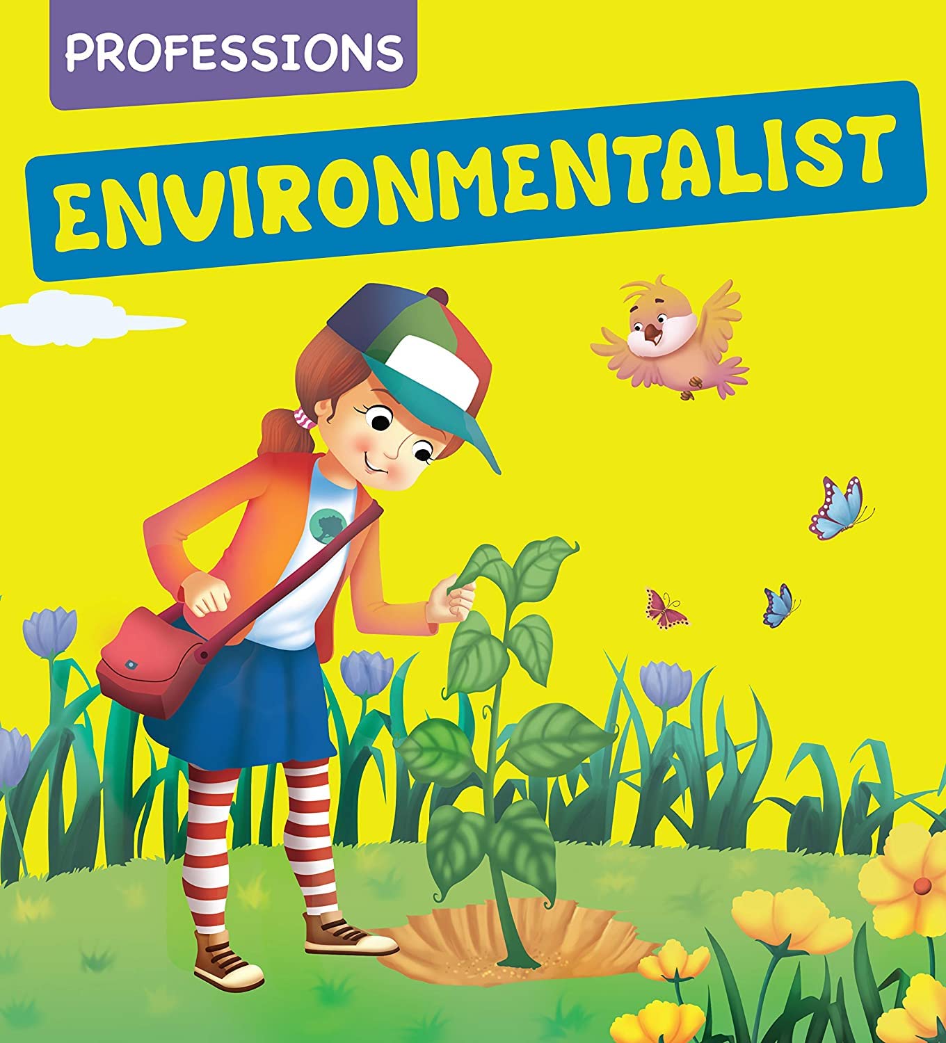 Environmentalist: Professions