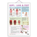 HIPS, LEGS AND FEET CHART | Understanding Lower Extremity Structure: Informative Charts