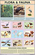 Me04 | Flora And Fauna Chart (50X75Cm) [Wall Chart] Teachingnest