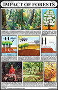 Me06 | Impact Of Forests Chart (50X75Cm) [Wall Chart]