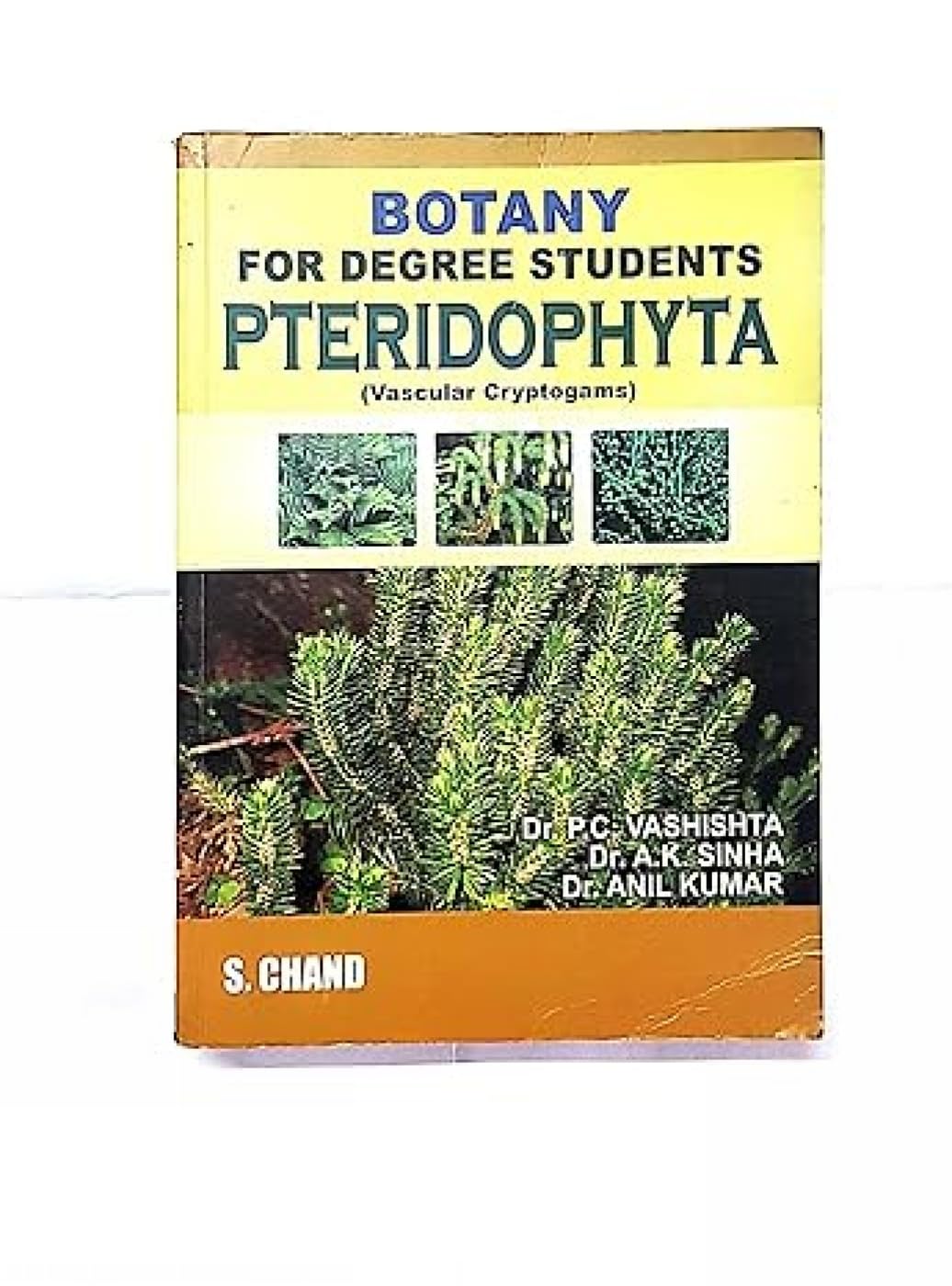 Botany For Degree Pteridophyta