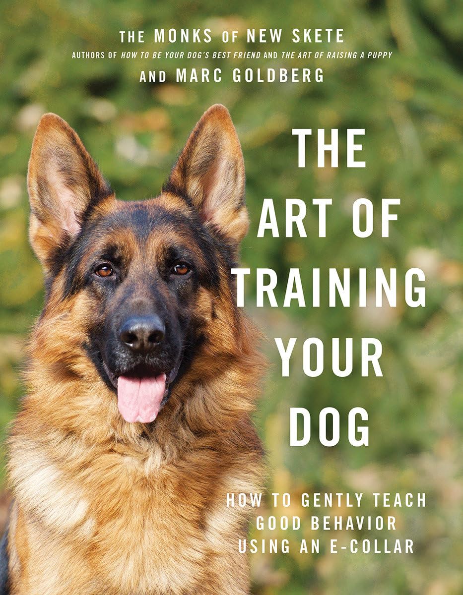 The Art of Training Your Dog: How to Gently Teach Good Behavior Using an ECollar