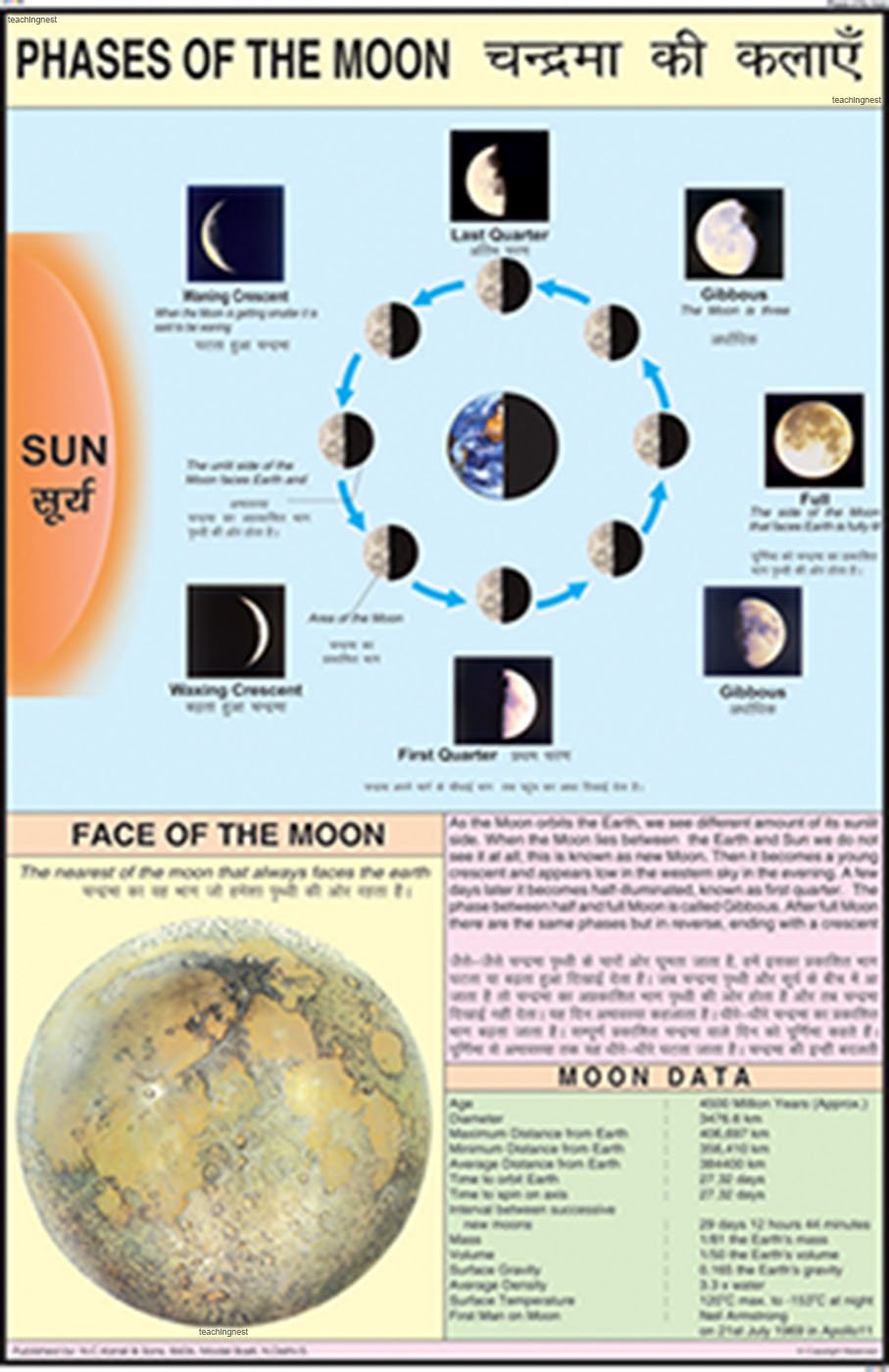 Gcs01 | Phases Of The Moon Chart (50X75Cm) [Wall Chart] Teachingnest [Wall Chart] Teachingnest