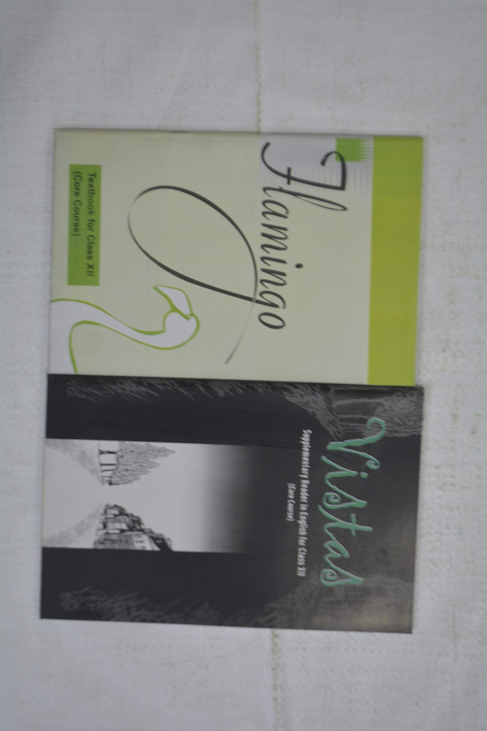 Class12 Flamingo Vistas 2 Books Set Combo 202526 Edition