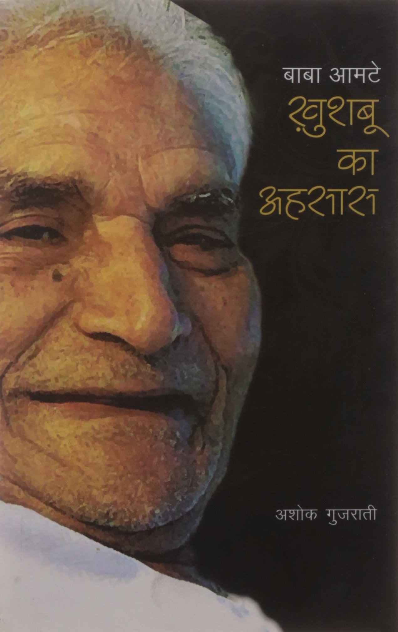 Baba Amte: Khushbu Ka Ahsas (Hindi) Pb (First Reprint 2012)