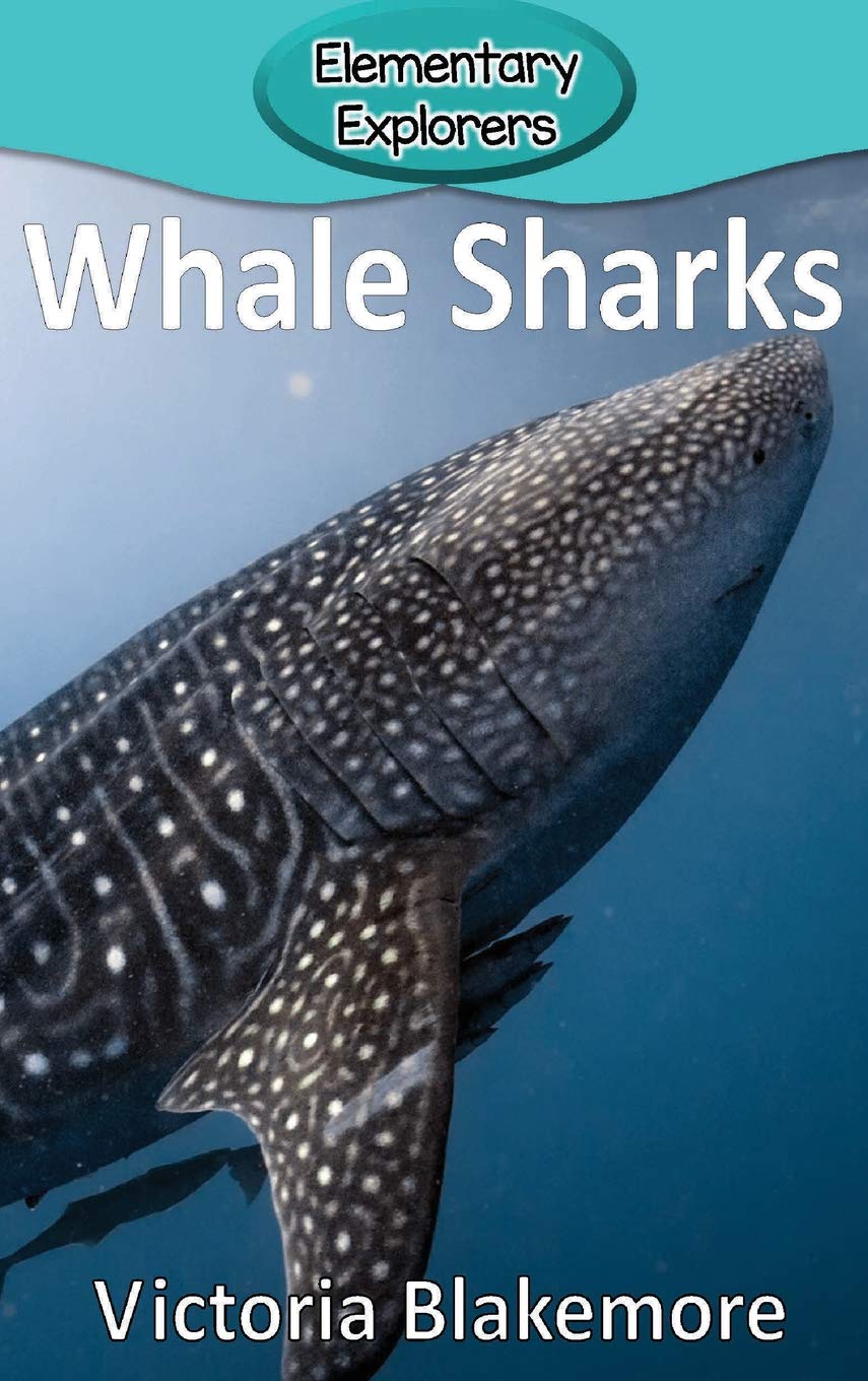 Whale Sharks (Elementary Explorers)