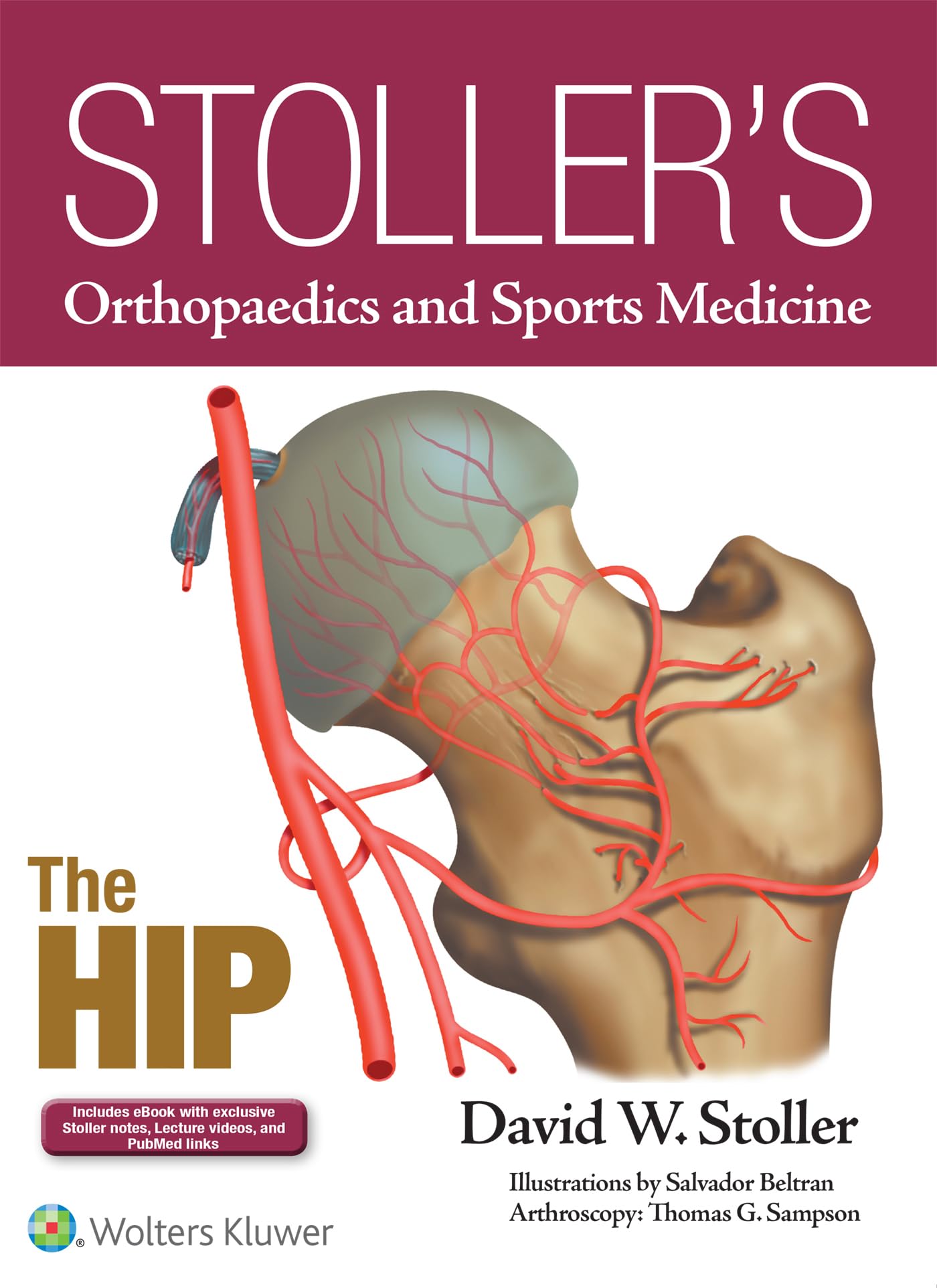 Stollers Orthopaedics and Sports Medicine: The Hip