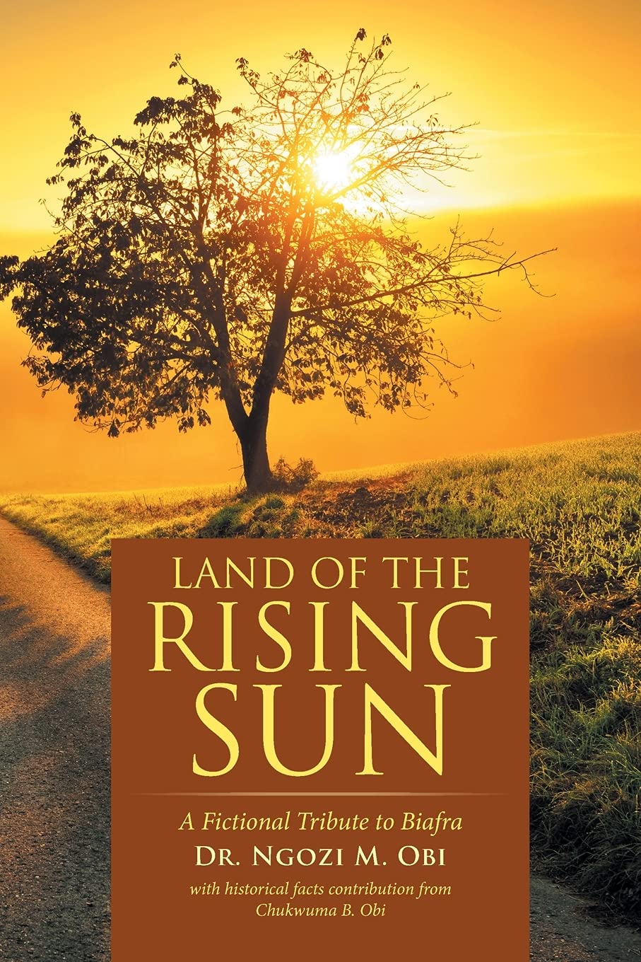 Land of the Rising Sun: A Fictional Tribute to Biafra