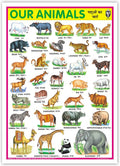 Our Animals (Size 70 X 100 Cms)|Laminated Both Sides