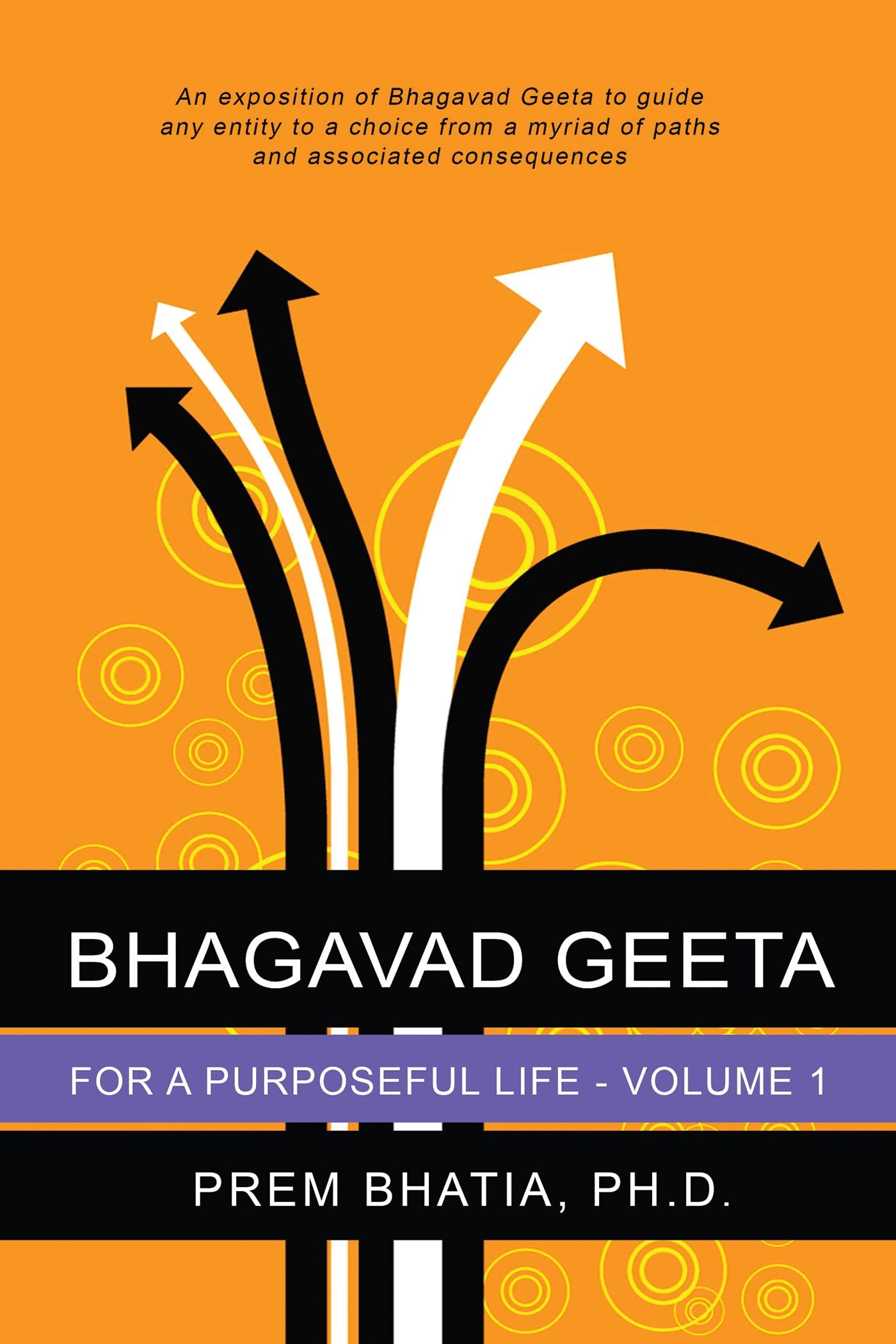 Bhagavad Geeta For A Purposeful Life  Volume I