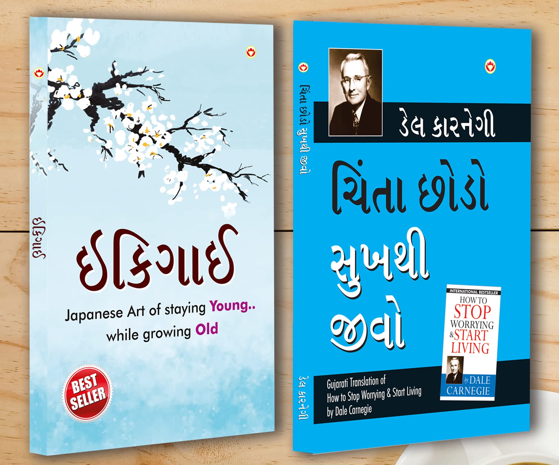 Best Motivational Books in Gujarati  Ikigai + How to Stop Worrying & Start Living