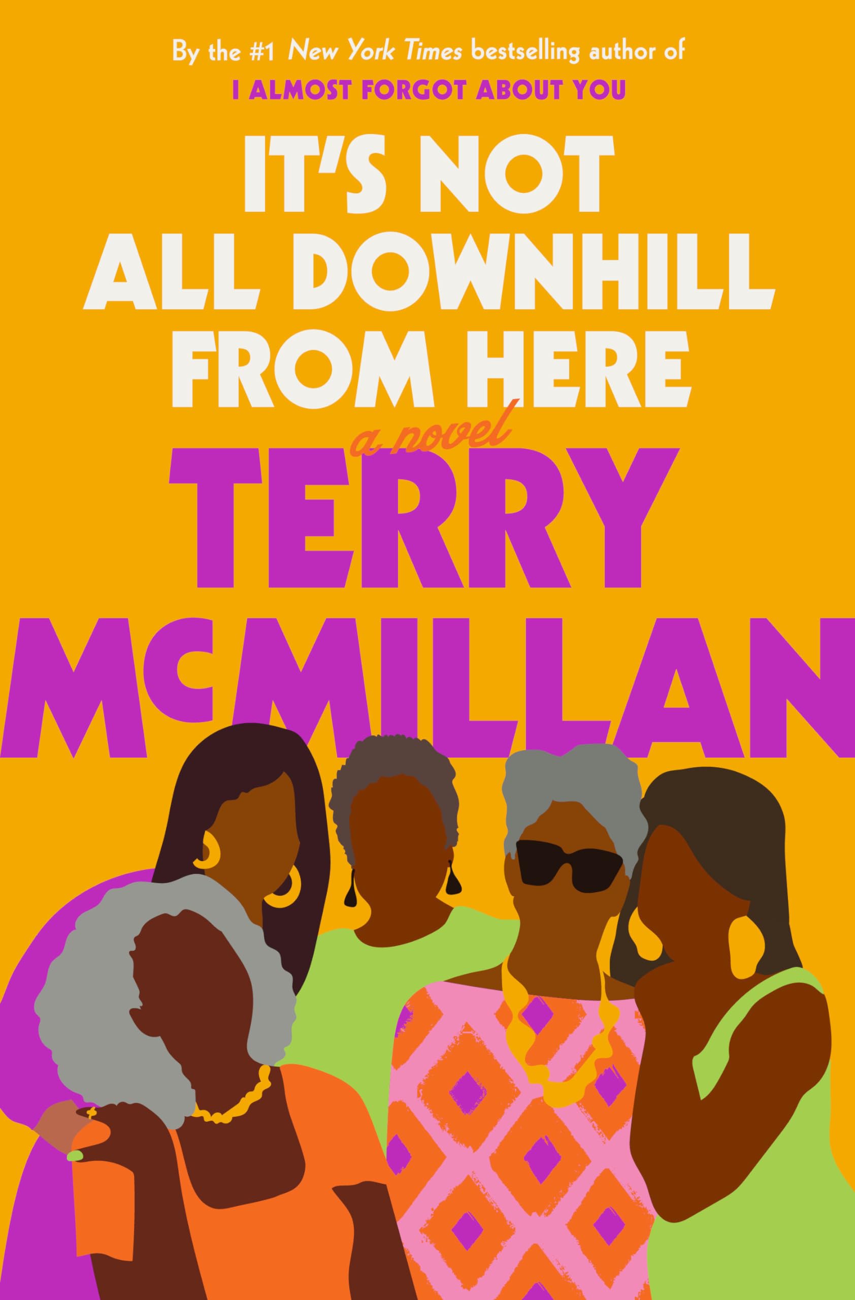 Its Not All Downhill From Here: A Novel