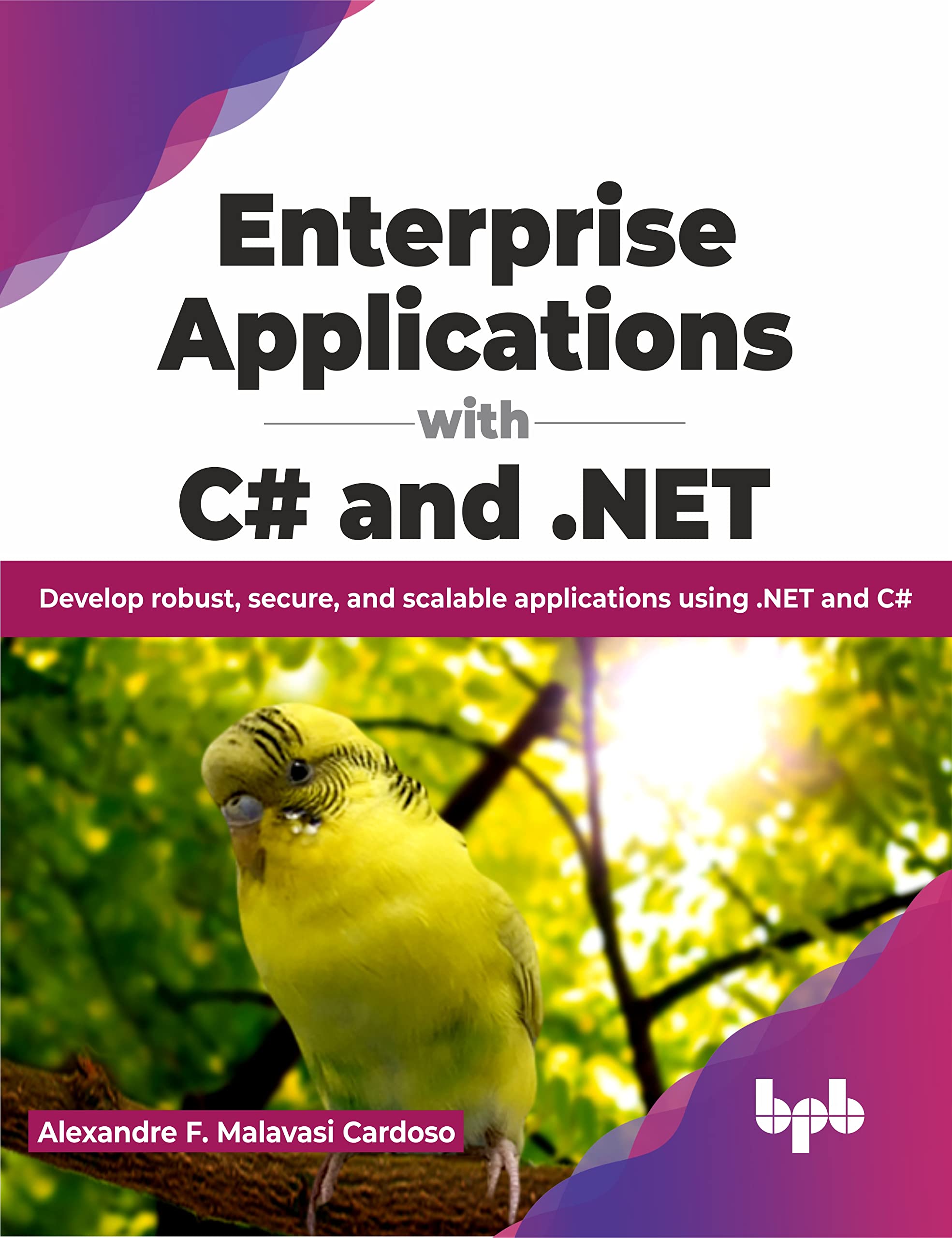 Enterprise Applications With C# And .Net