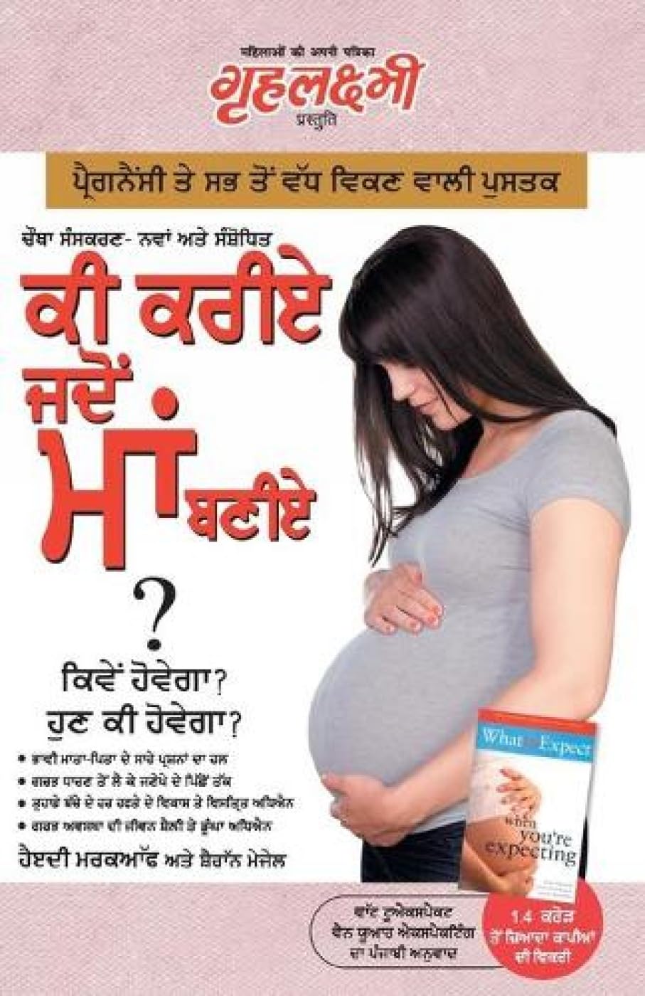 Kya Kare Jab Maa Bane (Punjabi Edition)