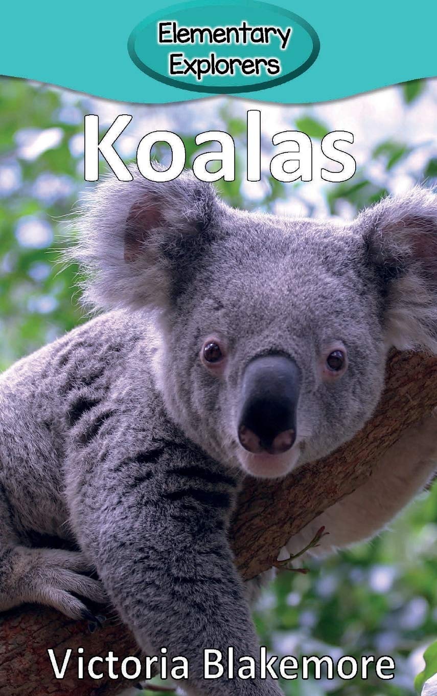 Koalas (Elementary Explorers)
