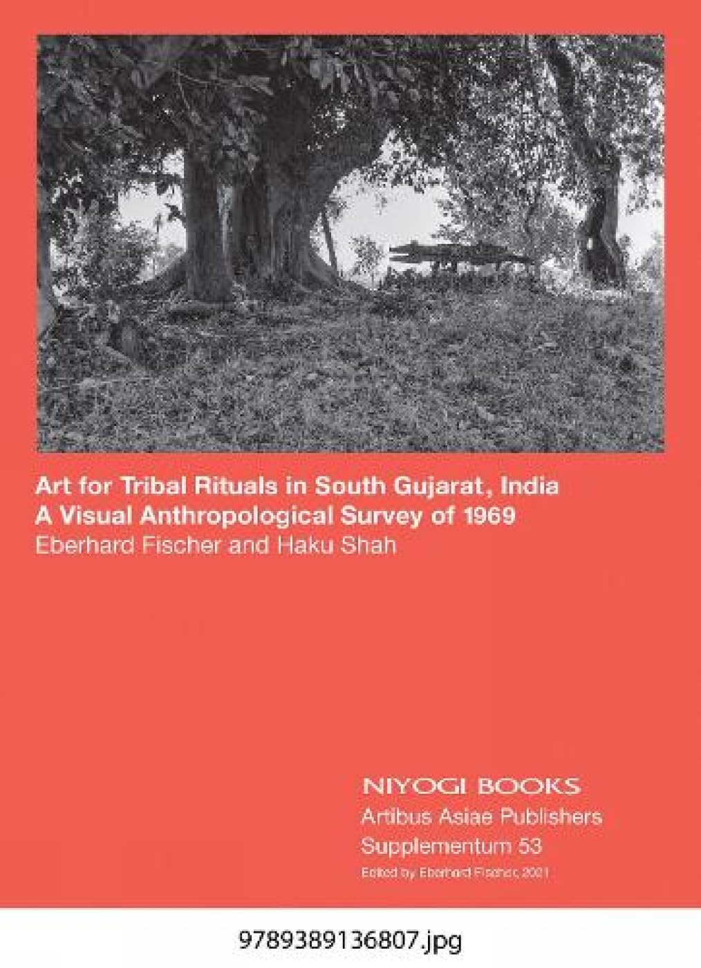 Art For Tribal Rituals In South Gujarat, India: A Visual Anthropological Survey Of 1969 (H.B)