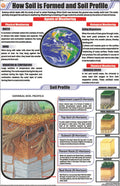 Stg23 | Teachingnest | How Soil Is Formed And Soil Profile Chart (58X90 Cm) | English | General Science Charts | With Rollers [W