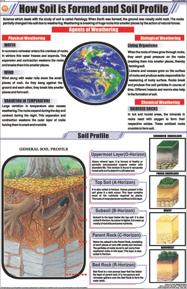 Stg23 | Teachingnest | How Soil Is Formed And Soil Profile Chart (58X90 Cm) | English | General Science Charts | With Rollers [W