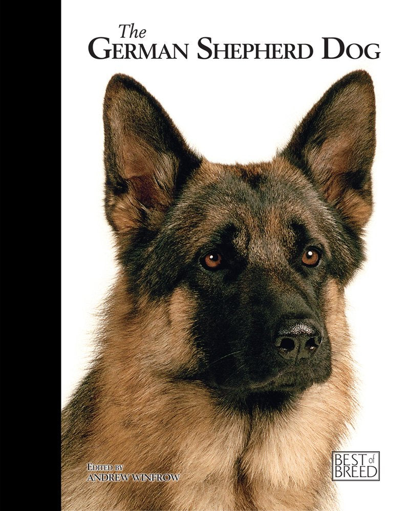 German Shepherd (Best Of Breed)
