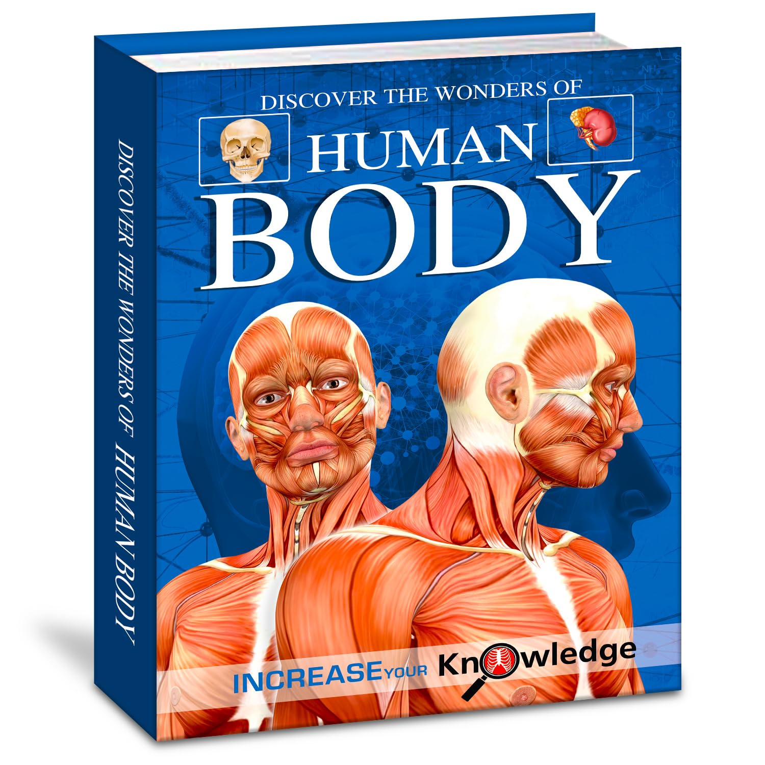Hello Friend Books Discover the Wonders of the Human Body: Explore the Marvels Within You