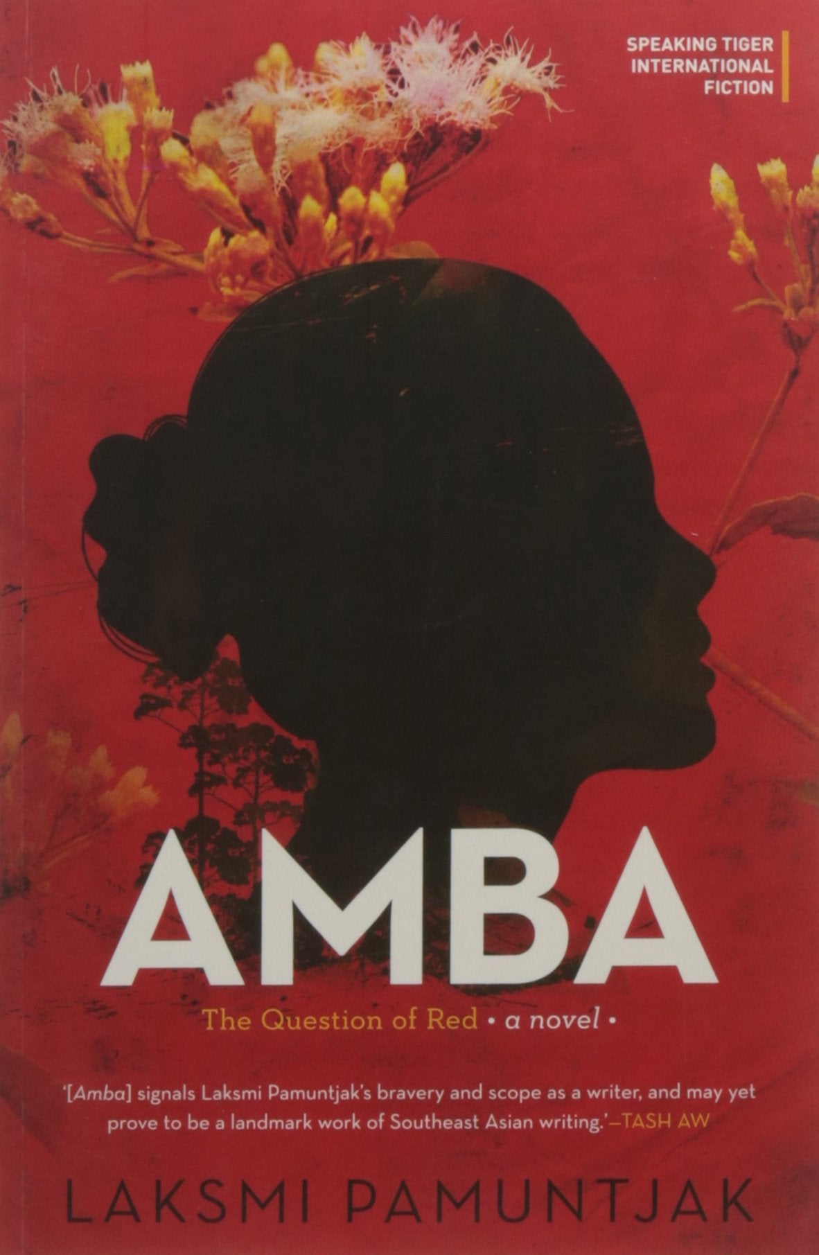 Amba: The Question of Red