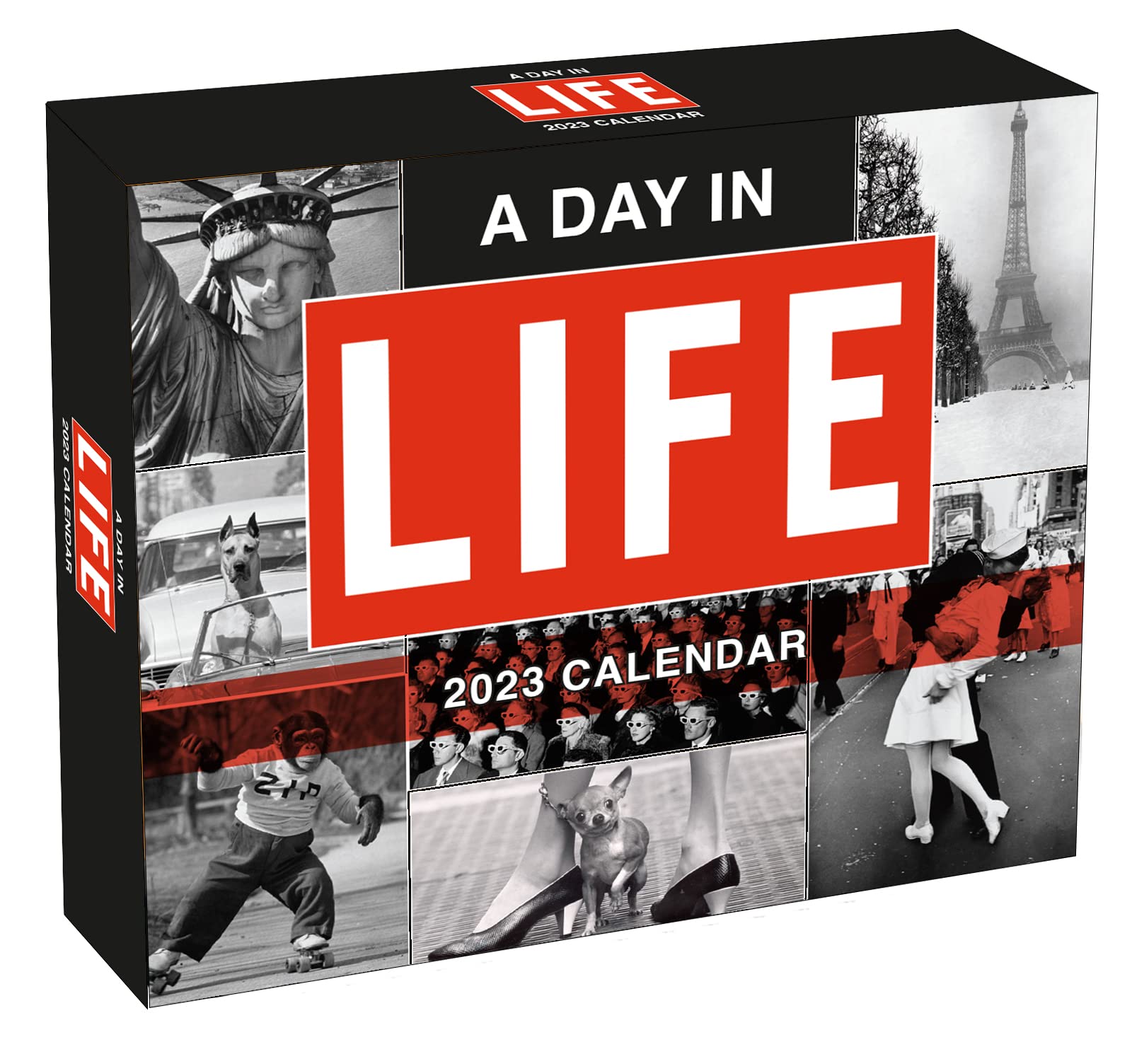 A Day in Life (BOXEDDAILY 365 DAY COMBINED)