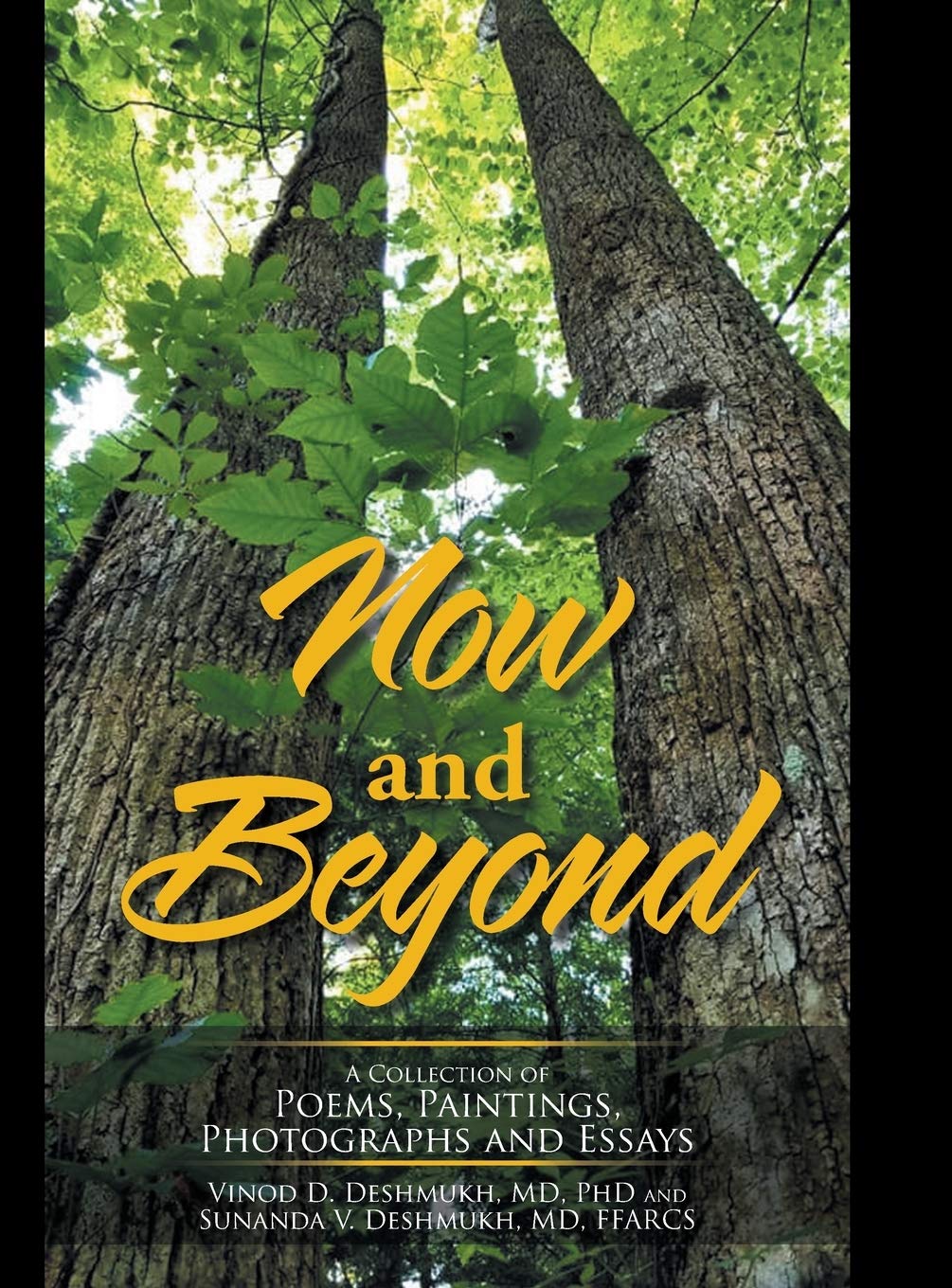 Now And Beyond: A Collection Of Poems, Paintings, Photographs And Essays
