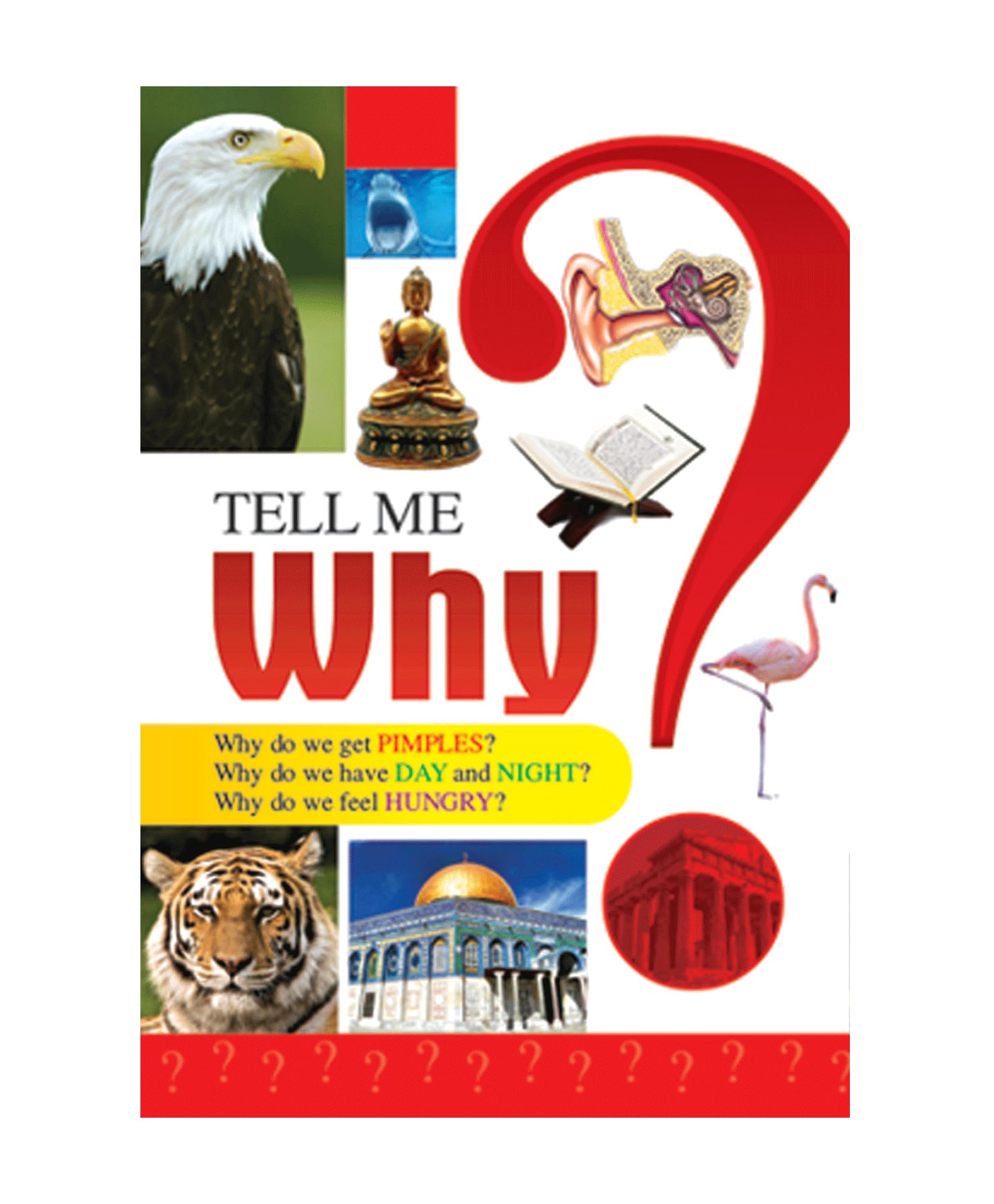 GOLDEN MINDS TELL ME WHY General Knowledge Book for Kids  Explore Science, Nature & Curiosity | Fun Learning for School Project
