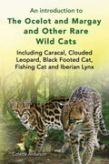 An Introduction To The Ocelot And Margay And Other Rare Wild Cats Including Caracal Clouded Leopard Black Footed Cat Fishing Cat