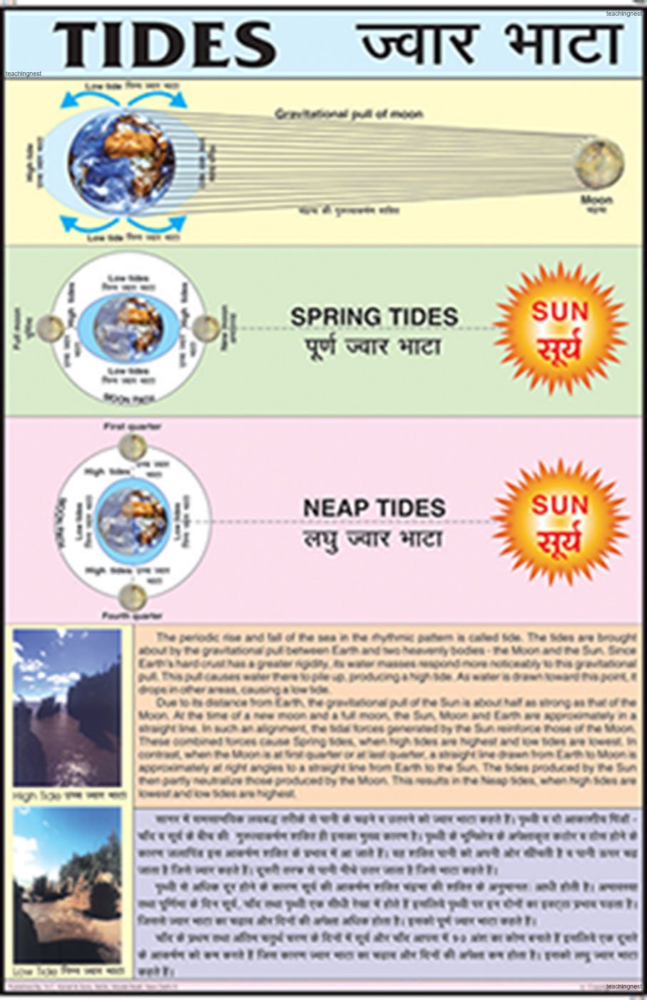 Gcs04 | Tides Chart (50X75Cm) [Wall Chart] Teachingnest [Wall Chart] Teachingnest