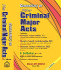 Commentary On New Criminal Major Acts.2024