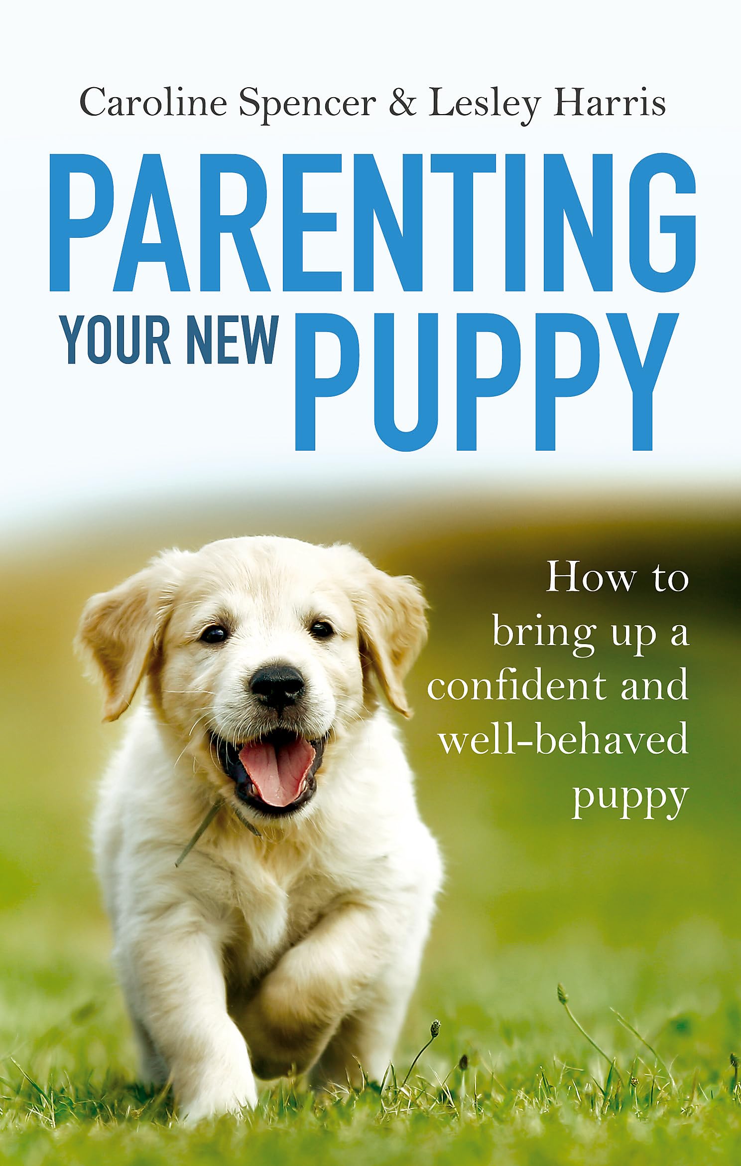 Parenting Your New Puppy: How to use positive parenting to bring up a confident and wellbehaved puppy