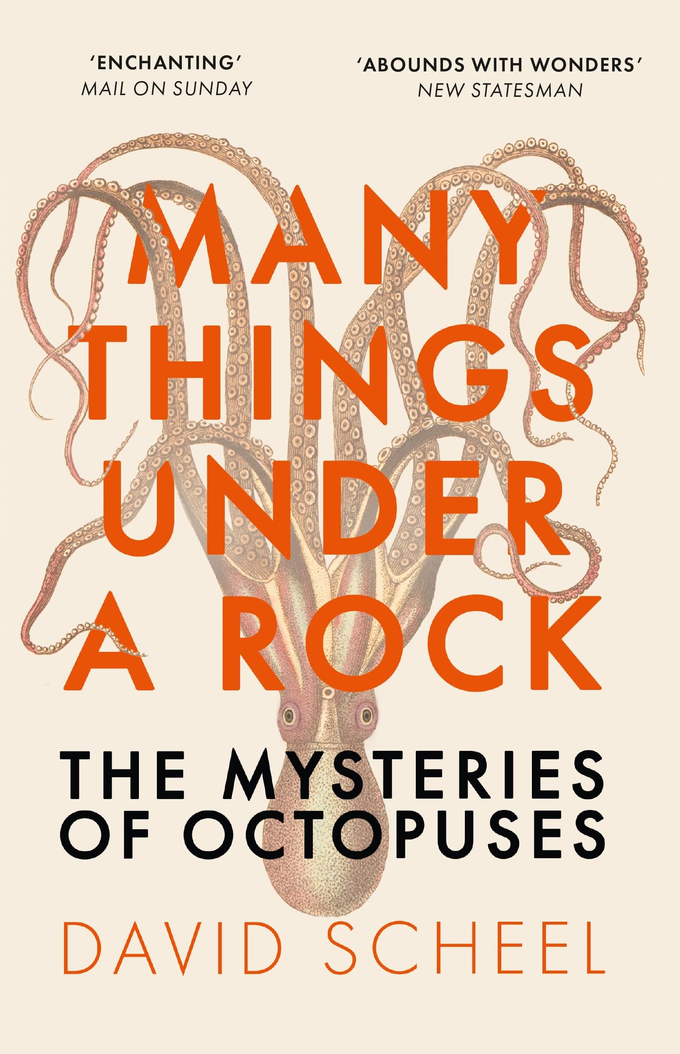 Many Things Under A Rock: The Mysteries Of Octopuses: The MindBlowing Book That Reveals The Mysteries Of The Octopus, Perfect F