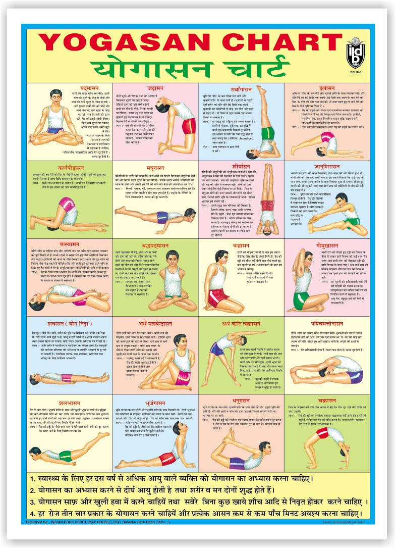 Yogasan Chart (Hindi) (Size 70 X 100 Cms)|Laminated Both Sides