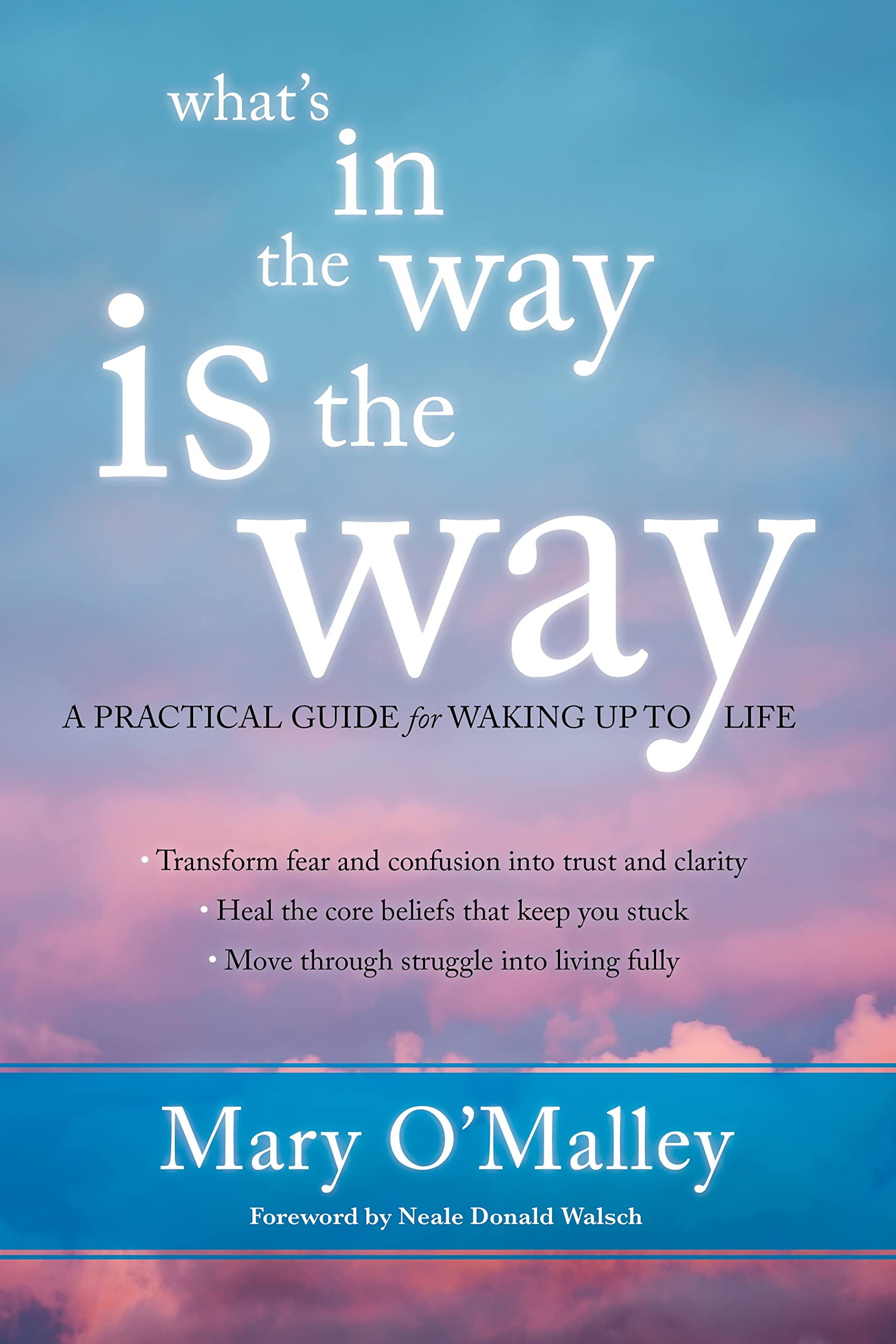 Whats in the Way Is the Way: A Practical Guide for Waking Up to Life