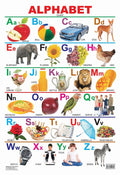 Alphabet Educational Wall Chart For Kids  Both Side Hard Laminated (Size 48 X 73 Cm)