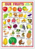 Our Fruits (Size 70 X 100 Cms)|Laminated Both Sides