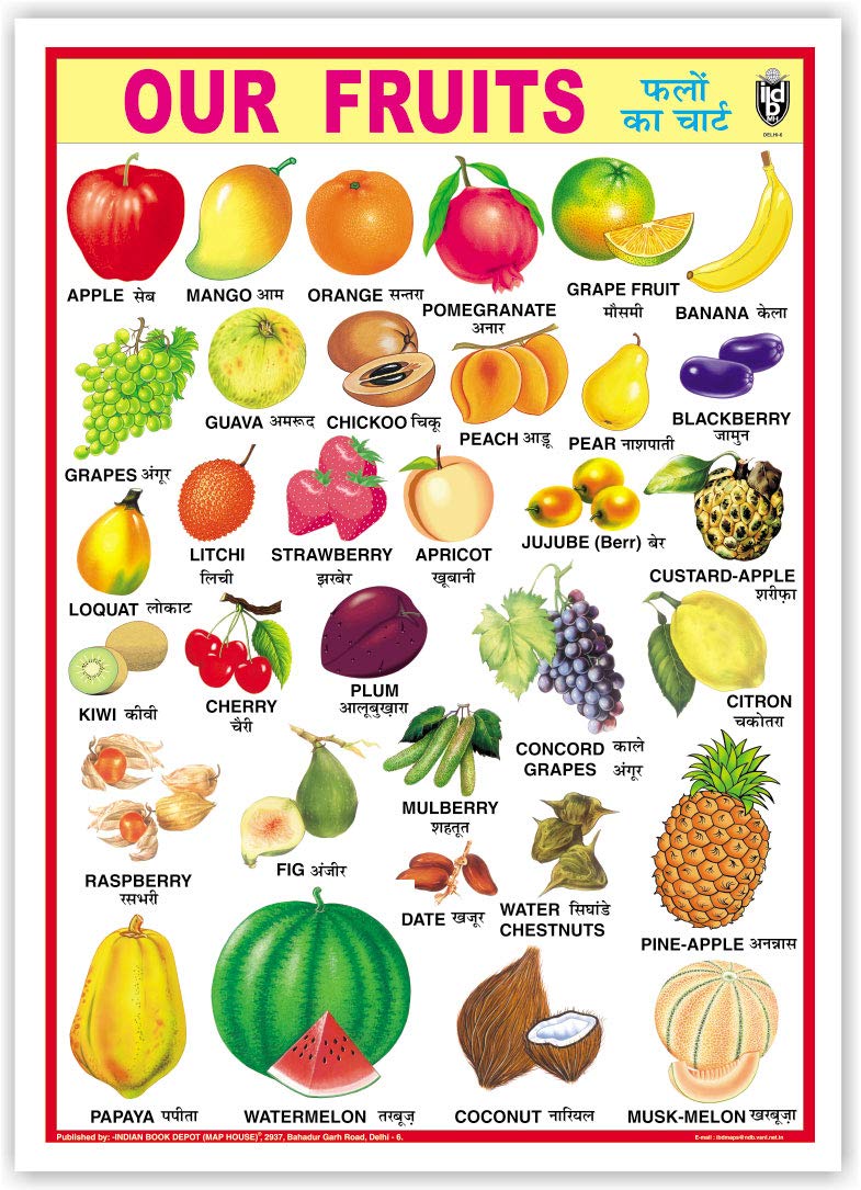 Our Fruits (Size 70 X 100 Cms)|Laminated Both Sides
