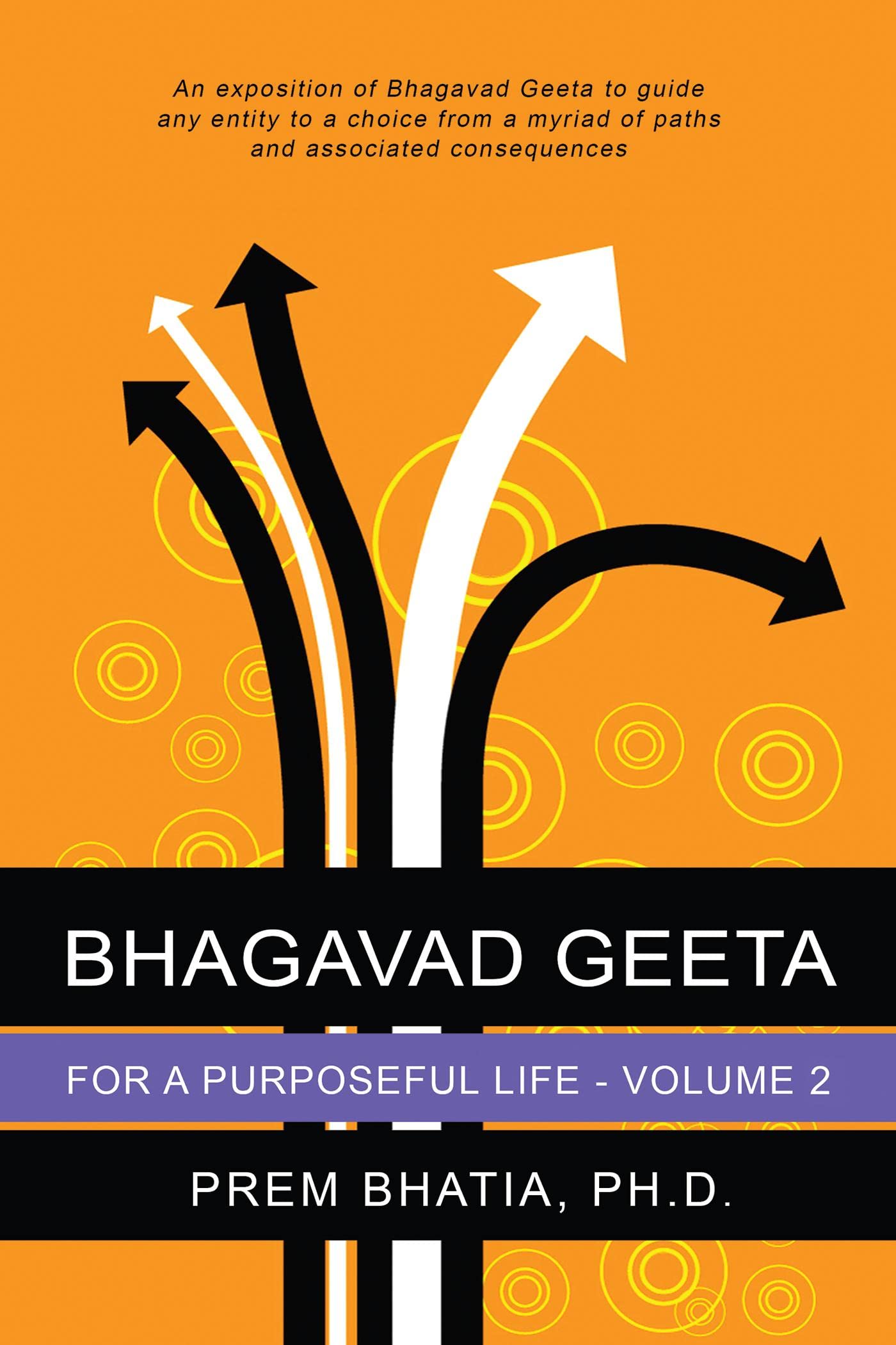 Bhagavad Geeta For A Purposeful Life  Volume Ii